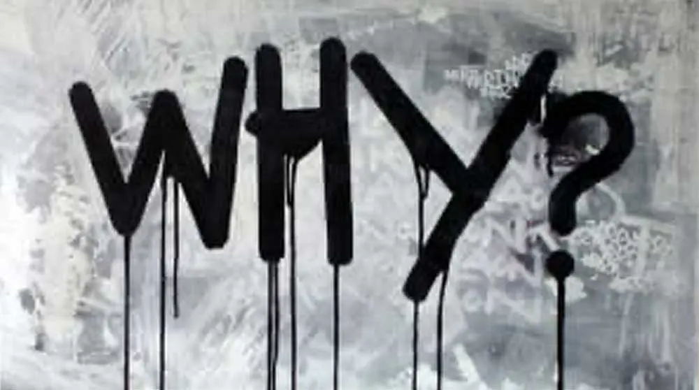 THE POWER OF “WHY?”